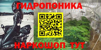 таблы Сланцы
