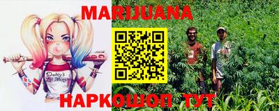 стафф Славгород